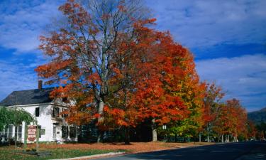 Hotels in Brandon