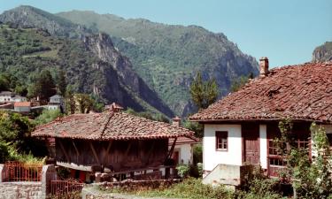 Semesterboenden i La Vega