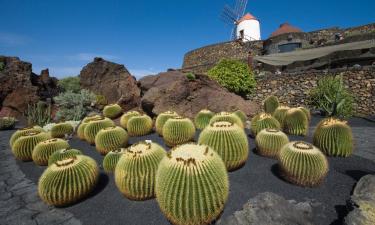 Alquileres vacacionales en Masdache