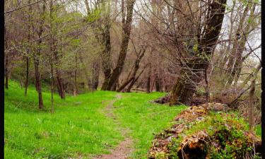 Cerro Maggiore'deki otoparklar