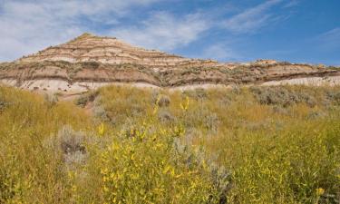 Hoteller i Drumheller