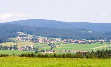 Hôtels avec parking à Ursensollen