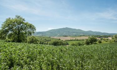 Ferienunterkünfte in Le Piazze