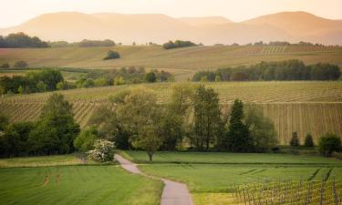 Hotels with Parking in Weingarten