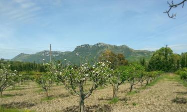 Allotjaments a la platja a Orsomarso