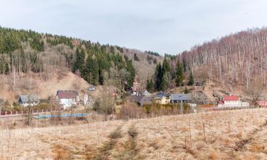 Hotel di Český Jiřetín