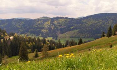 Hotel dengan parkir di Gersbach