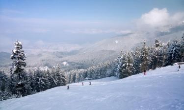 Elatochori şehrindeki otoparklar