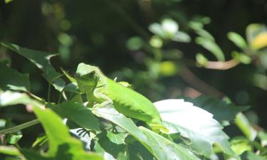 Cacaotepec'deki otoparklar