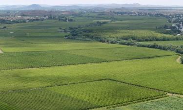 Hôtels à Upington