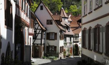 Pet-Friendly Hotels in Weinheim