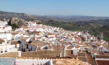 Budget Hotels in Alcalá del Valle