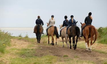 Beach rentals in Insel Neuwerk