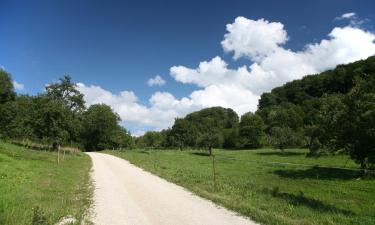 Viešbučiai su vietomis automobiliams mieste Öschingen