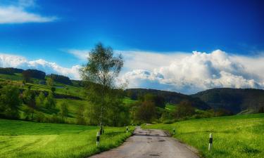 Hoteles familiares en Endingen