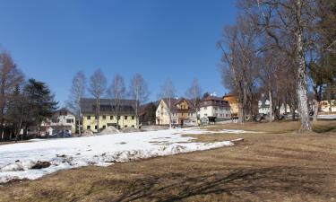 Hotels met Parkeren in Strážný