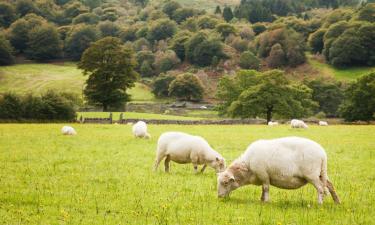 Hotels with Parking in Gwytherin