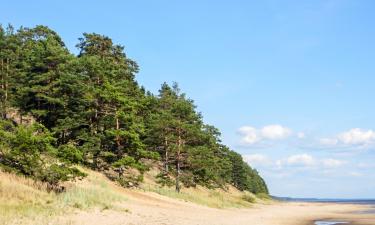 Locations près de la plage à Alajõe