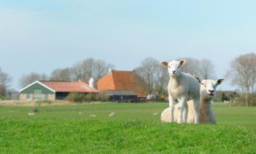 Vakantiewoningen in Oudega