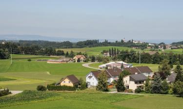 Hoteles con estacionamiento en Waldkirch