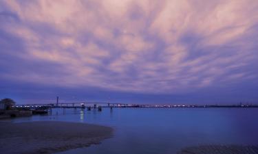 Apartments in Greenhithe