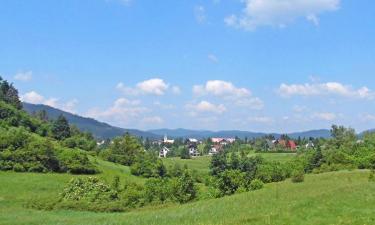 Casas y chalets en Crni Lug