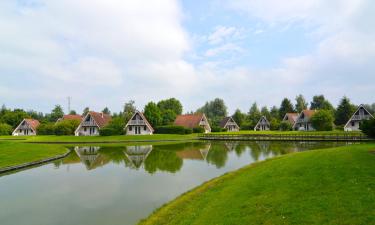 Cottages in Gramsbergen