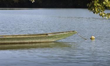 Hoteluri în Ybbs an der Donau