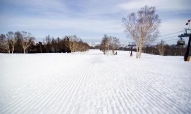 Hotéis em Nozawa Onsen