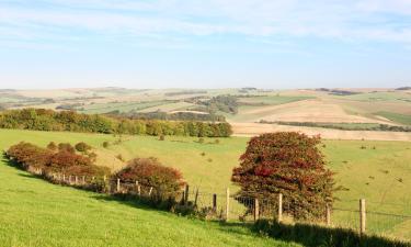 Holiday Rentals in Sedlescombe