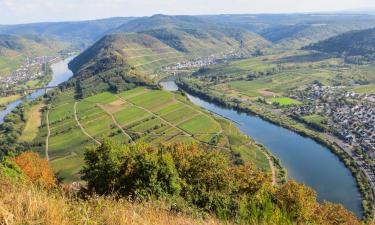 Parkolóval rendelkező hotelek Neefben