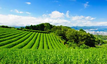 Guest Houses in Shizuoka