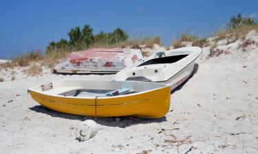 Hotéis em Marina di Bibbona