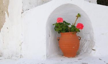 Ξενοδοχεία με πάρκινγκ στην Καρδιανή