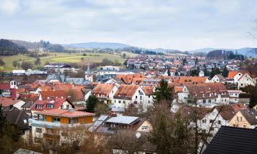 Hoteles en Mörlenbach