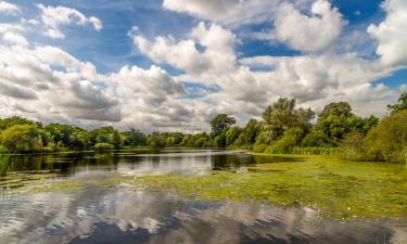 Cottage a Verwood