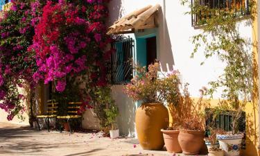 Cottages in Douliana