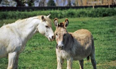 Family Hotels in La Destrousse