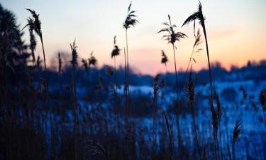 Hotels mit Parkplatz in Gulbene