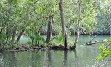 Hoteles en Homosassa