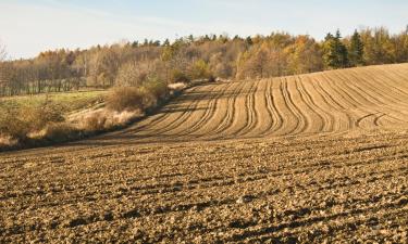 Boenden med självhushåll i Przyszowice