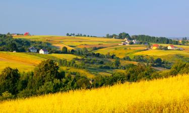 Viešbučiai mieste Szczepanów