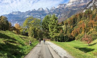 Apartments in Flums