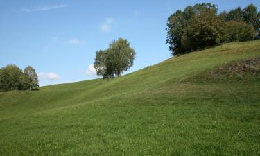 Hotels mit Parkplatz in Lyss