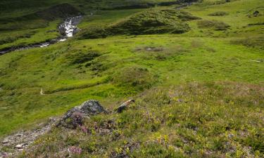 Casas y chalets en Brechin