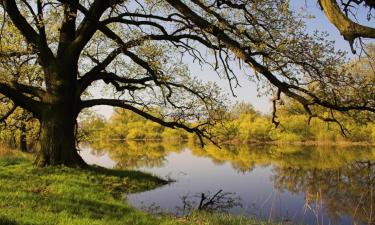 Дешеві готелі у місті Beucha