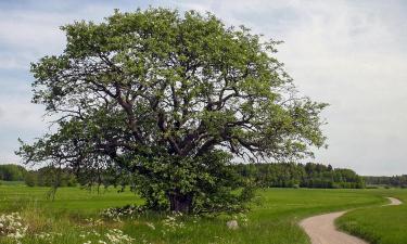 Hotels mit Parkplatz in Tungelsta