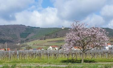 Apartamentos en Burrweiler