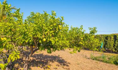 Hotel per famiglie a Son Sardina