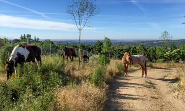 Family Hotels in Valdemorillo